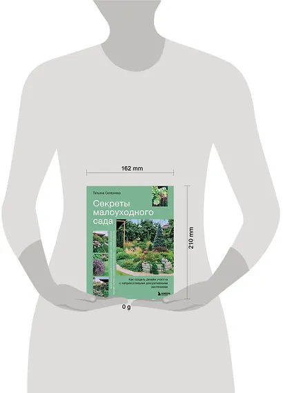 Секреты малоуходного сада. Как создать дизайн участка с неприхотливыми декоративными растениями - фото 13