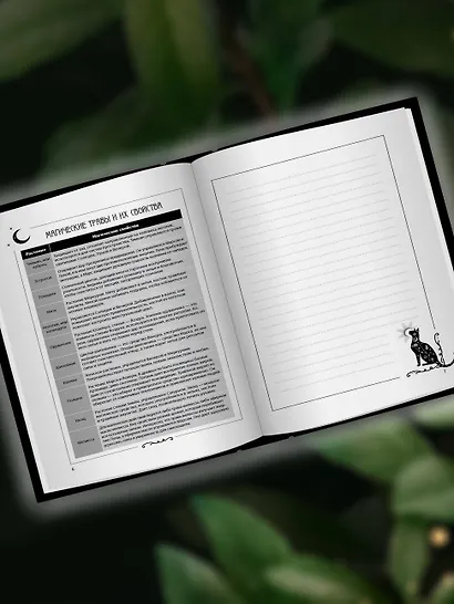 Блокнот ведьмы. Колесо года - фото 5