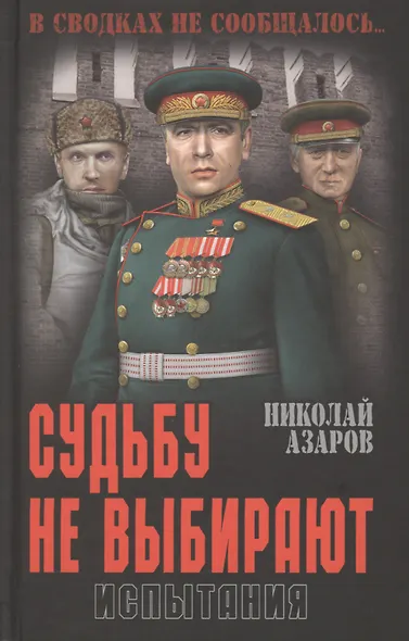 Судьбу не выбирают. Испытания. Книга вторая: роман-эпопея - фото 1