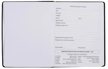 Дневник шк. "НЕ БЕСИ" универс.блок, иск.кож., шелкография, отстрочка, ляссе - фото 2