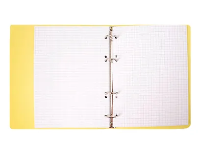 Тетрадь 80 листов, клетка, "Sunrise" на кольцах - фото 2