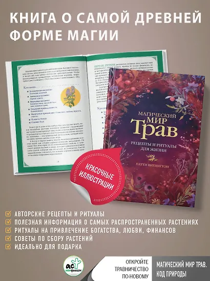 Магический мир трав. Рецепты и ритуалы для жизни - фото 4