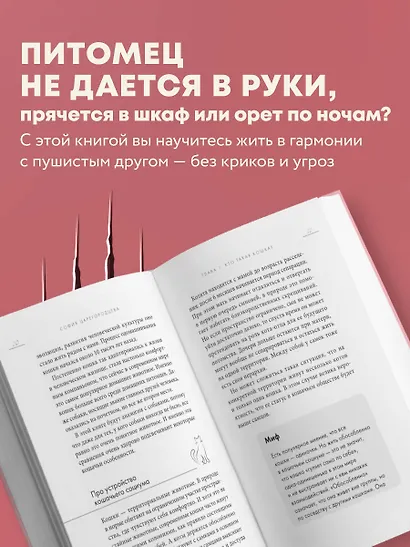 Кошачий закон и порядок. Как найти общий язык с кошкой и не стать жертвой ее капризов - фото 6