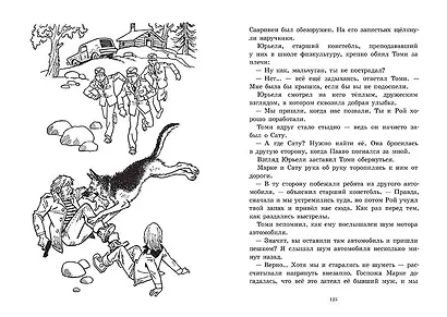 Овчарка Рой - фото 4