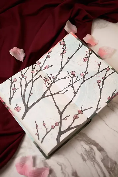 Ловя отражение Луны - фото 12