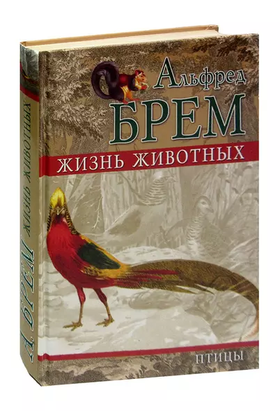 Жизнь животных. Птицы. Том 4. Отряд голубиные. Отряд куриные. Отряд водяные курочки. Отряд журавлиные. Отряд поисковые птицы - фото 1