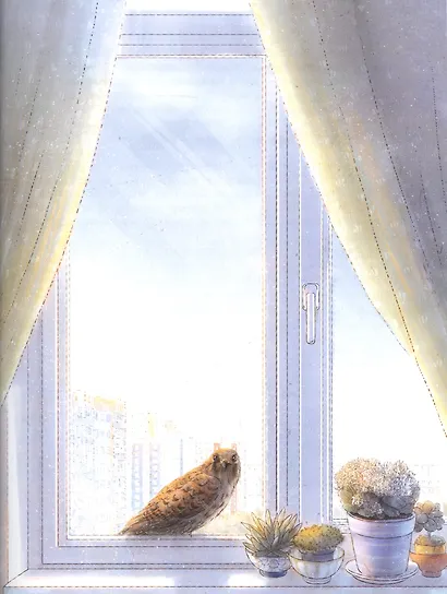 Мои соседи соколы - фото 4