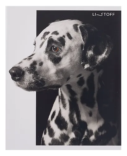 Тетрадь 48л кл. "Черно-белые животные" мел.картон, ассорти - фото 4