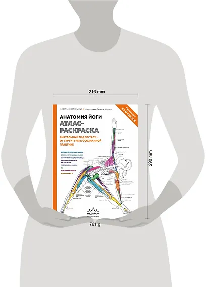 Анатомия йоги: атлас-раскраска. Визуальный гид по телу — от структуры к осознанной практике - фото 7
