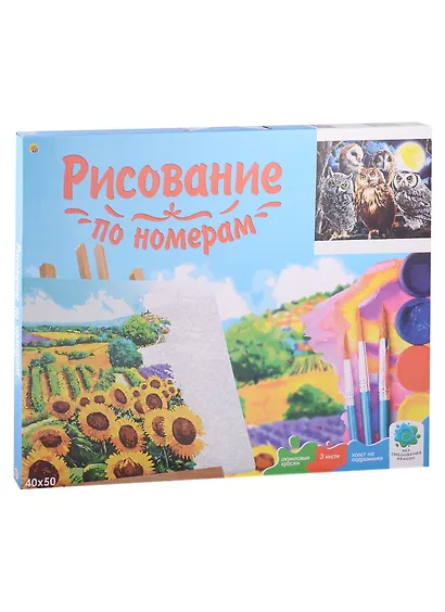 Холст с красками по номерам на подрамнике "Совиная компания", 40 х 50 см - фото 2