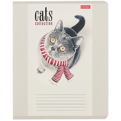 Тетрадь в клетку Hatber, "Кототерапия", 12 листов, в ассортименте - фото 1