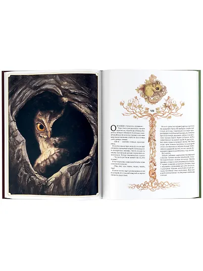 Бемби. История жизни в лесу - фото 8