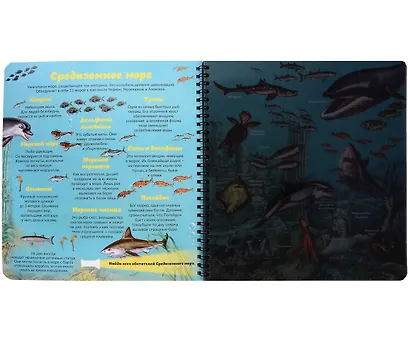 Кто живет под водой? Увлекательное путешествие с фонариком - фото 3