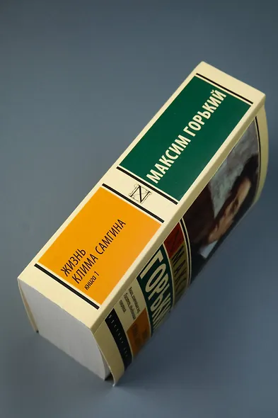 Жизнь Клима Самгина. В 2 кн. Книга 1 - фото 6