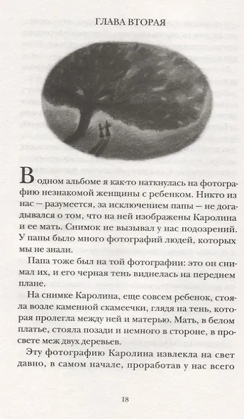 И белые тени в лесу - фото 4