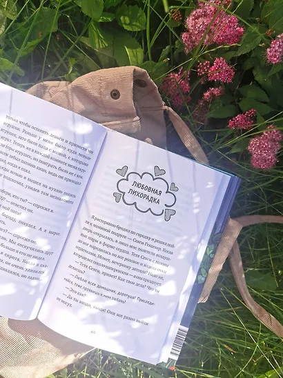 Амир и безумный ингредиент - фото 10