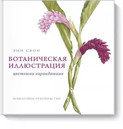 Ботаническая иллюстрация цветными карандашами. Пошаговое руководство - фото 1