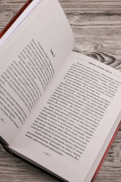 Комбриг. Сентябрь 1939-го - фото 9