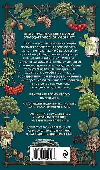 Деревья. Карманный атлас-определитель - фото 2