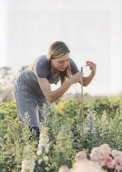 Цветочный сад. Год в окружении прекрасных растений - фото 6