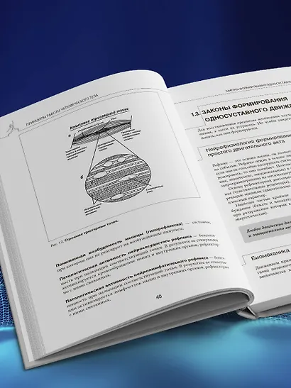Прикладная кинезиология. Восстановление тонуса и функций скелетных мышц - фото 8