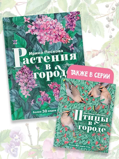 Растения в городе - фото 6