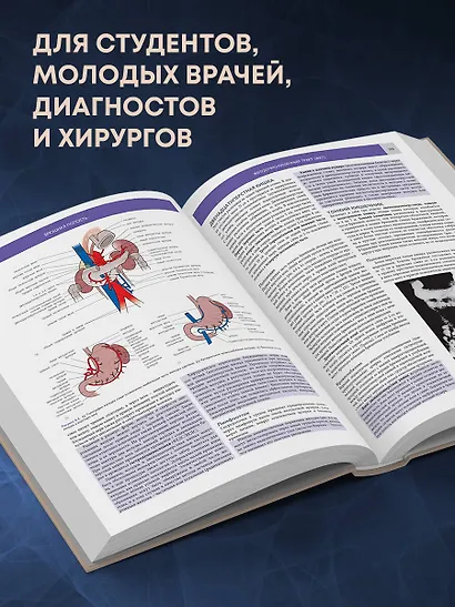 Основы клинической анатомии. Иллюстрированный атлас нозологий и патологий - фото 5