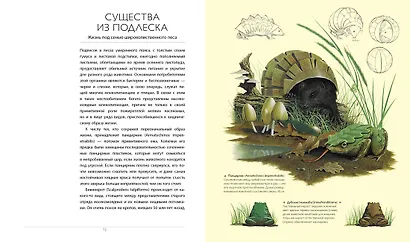 После человека. Зоология будущего - фото 3