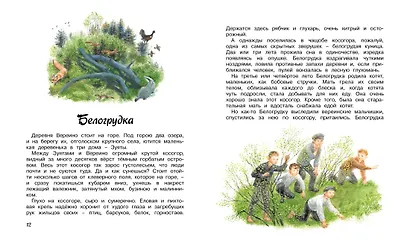 Стрижонок Скрип - фото 4