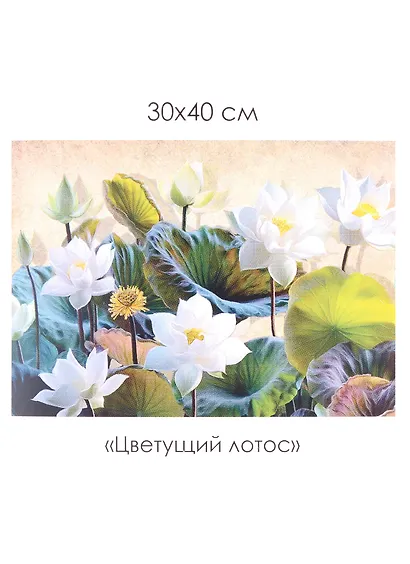 Набор для творчества. Алмазные узоры "Цветущий лотос", 30 х 40 см - фото 4