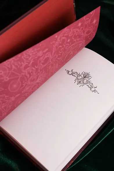 Не сглазь и веди - фото 13