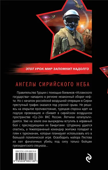 Ангелы сирийского неба - фото 2