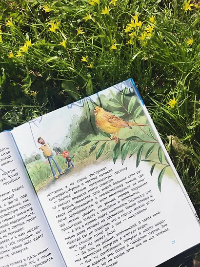Птицы. Детская энциклопедия (Чевостик) - фото 12