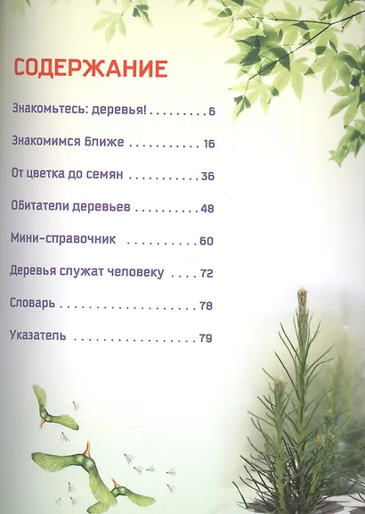 Деревья - фото 2