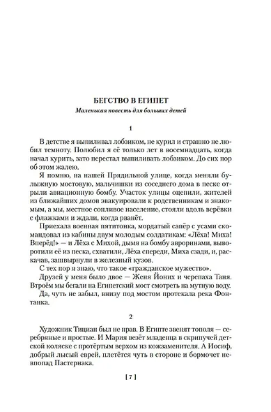 Бегство в Египет. Петербургские светотени - фото 7