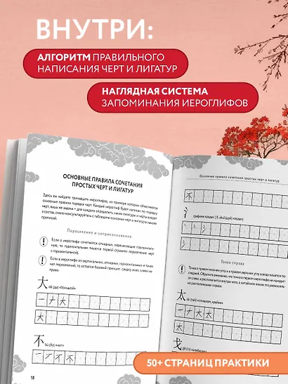 Китайские прописи для начинающих: введение в иероглифику - фото 5