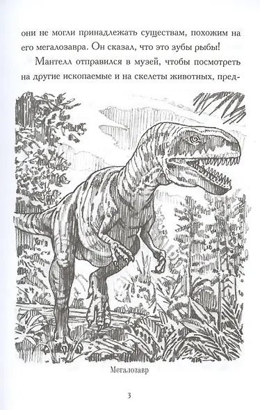 Какой была эпоха динозавров? - фото 4