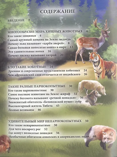 Животные - фото 2