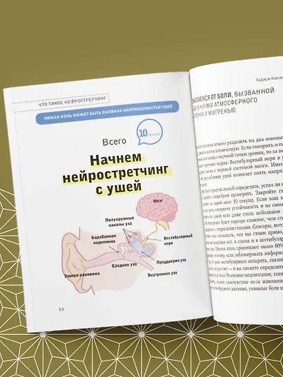 Нейрогимнастика. Новейшая японская методика растяжки нейронов, позволяющая избавиться от любой тянущей или ноющей боли - фото 12