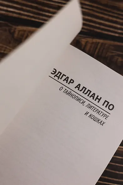 О тайнописи, литературе и кошках - фото 7