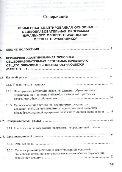 ПрАООП НОО слепых обучающихся (ФГОС ОВЗ) - фото 2