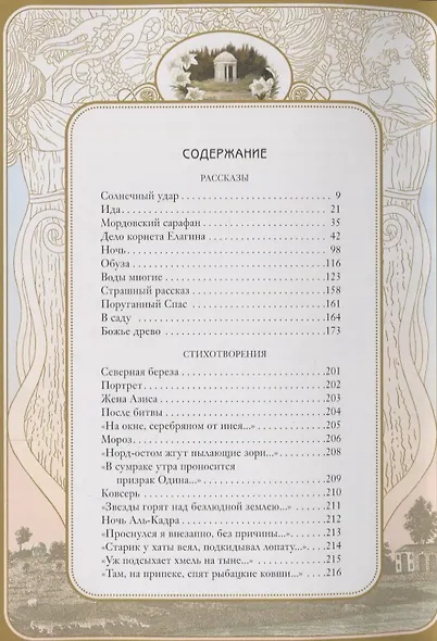 Солнечный удар - фото 2