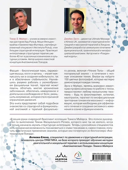 Фасциальный релиз для структурного баланса - фото 2