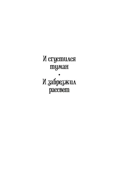 И сгустился туман. Книга 2. И забрезжил рассвет - фото 9