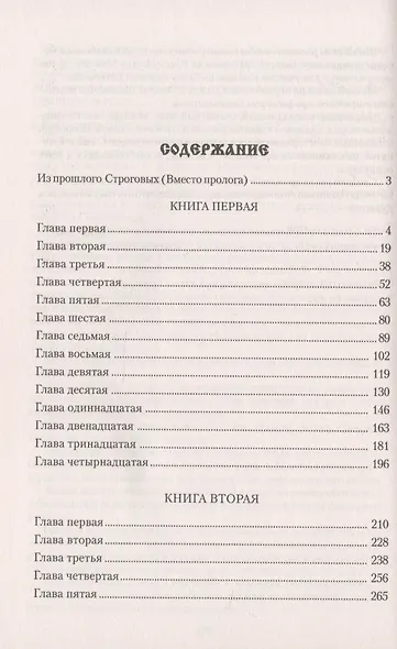 Строговы - фото 2