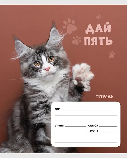 Тетрадь в клетку Listoff «Дай пять!» в ассортименте, 24 листа - фото 3