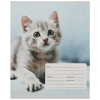 Тетрадь в линейку Listoff, "Котята", 12 листов, в ассортименте - фото 3