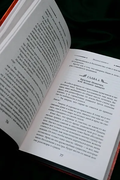 Надежда феникса - фото 11