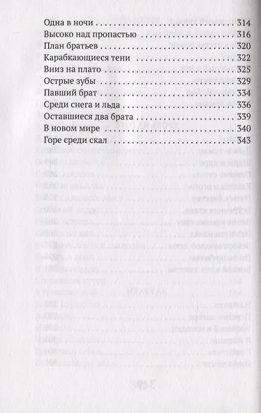 Битва за Салаяк - фото 5