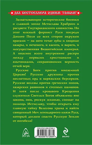 Меч русских Богов. За Русь против Дикого Поля! - фото 2
